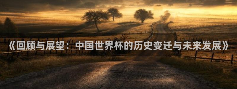 2026世界杯足球赛程时间表:《回顾与展望:中国世界杯的历史变迁与未来发展》