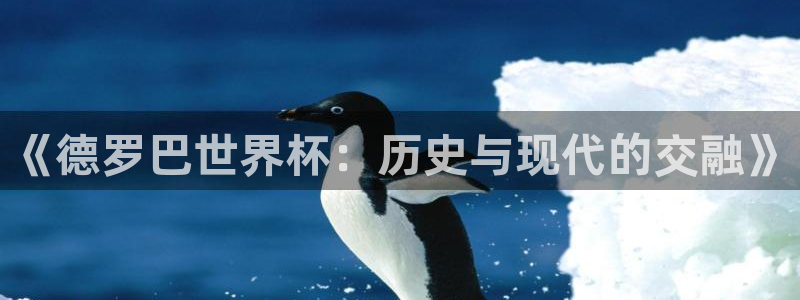 2006年世界杯冠军:《德罗巴世界杯:历史与现代的交融》