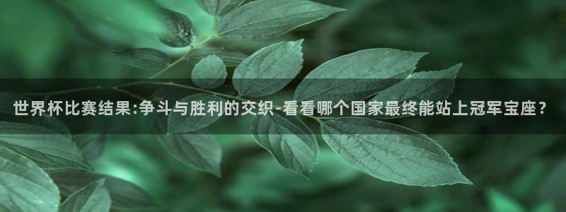 2006年世界杯冠军:世界杯比赛结果:争斗与胜利的交织-看看哪个国家最终能站上冠军宝座?