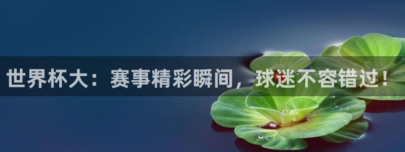 世界杯今年:世界杯大:赛事精彩瞬间,球迷不容错过!