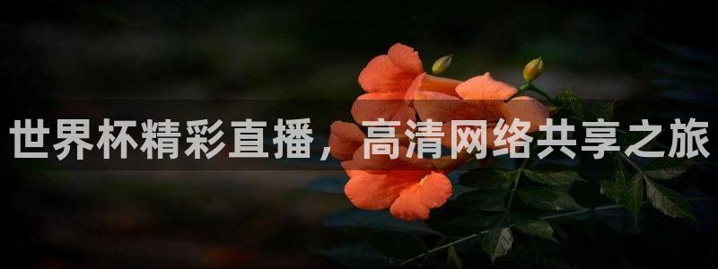 足球世界杯2026:世界杯精彩直播,高清网络共享之旅